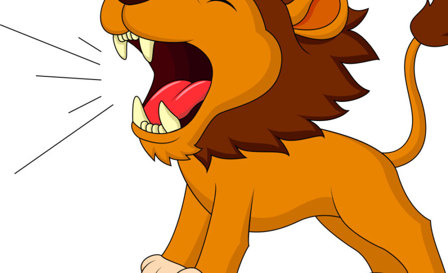 Lions Support to the Community